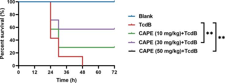 https://cdn.ncbi.nlm.nih.gov/pmc/blobs/62db/12158428/261c7bf46ab8/elife-101757-fig1-figsupp2.jpg