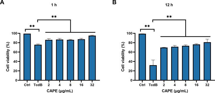 https://cdn.ncbi.nlm.nih.gov/pmc/blobs/62db/12158428/b821ac6309ef/elife-101757-fig1-figsupp1.jpg