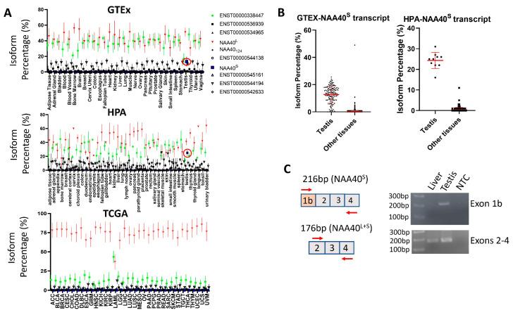 https://cdn.ncbi.nlm.nih.gov/pmc/blobs/62dc/11430322/457995fc8a0a/biomolecules-14-01100-g004.jpg
