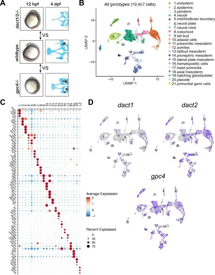 https://cdn.ncbi.nlm.nih.gov/pmc/blobs/62dc/11581427/04c330c9678c/elife-91648-fig6.jpg