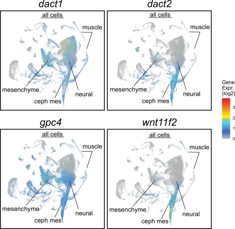 https://cdn.ncbi.nlm.nih.gov/pmc/blobs/62dc/11581427/381f8a884cd1/elife-91648-fig1-figsupp1.jpg