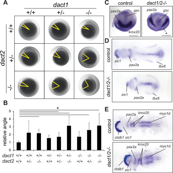https://cdn.ncbi.nlm.nih.gov/pmc/blobs/62dc/11581427/bd7709277ec0/elife-91648-fig2.jpg