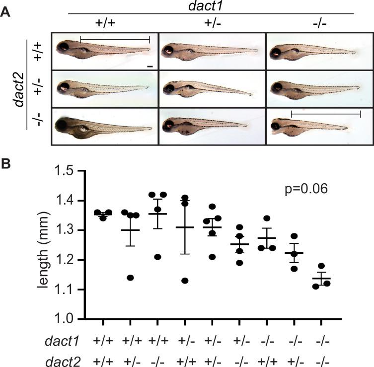 https://cdn.ncbi.nlm.nih.gov/pmc/blobs/62dc/11581427/d4aa6ee93fde/elife-91648-fig2-figsupp2.jpg