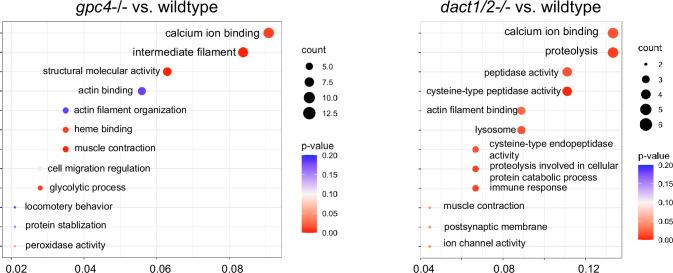 https://cdn.ncbi.nlm.nih.gov/pmc/blobs/62dc/11581427/dc8a8a73a935/elife-91648-fig7-figsupp1.jpg