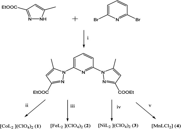 https://cdn.ncbi.nlm.nih.gov/pmc/blobs/62dc/9042687/1b9f5e5e6852/d1ra05918a-s2.jpg