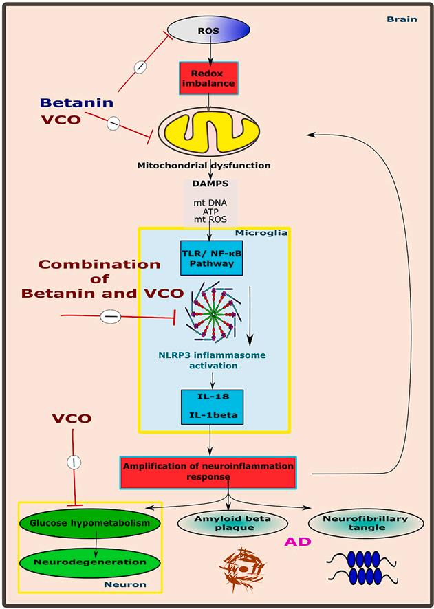 https://cdn.ncbi.nlm.nih.gov/pmc/blobs/62e0/11068997/3339efe8ca8d/ga1.jpg
