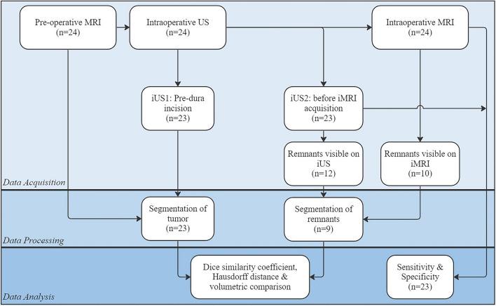 https://cdn.ncbi.nlm.nih.gov/pmc/blobs/62e0/11322494/1a99ca9c9139/381_2024_6492_Fig3_HTML.jpg