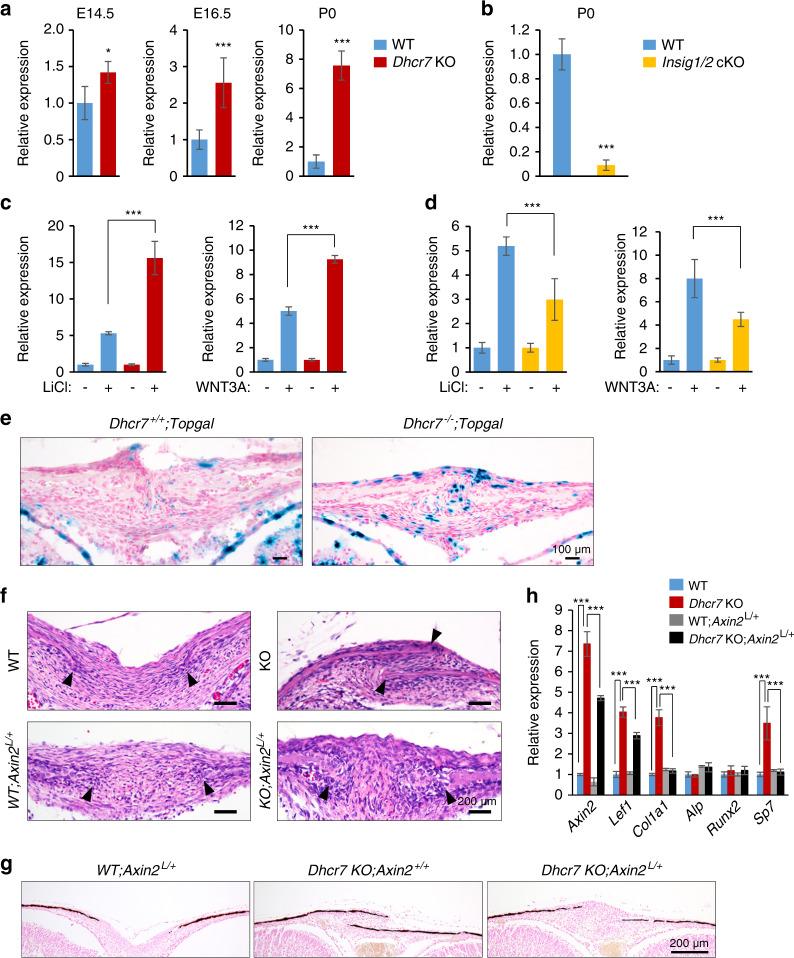 https://cdn.ncbi.nlm.nih.gov/pmc/blobs/62e1/6946666/027716ce904b/41413_2019_78_Fig6_HTML.jpg