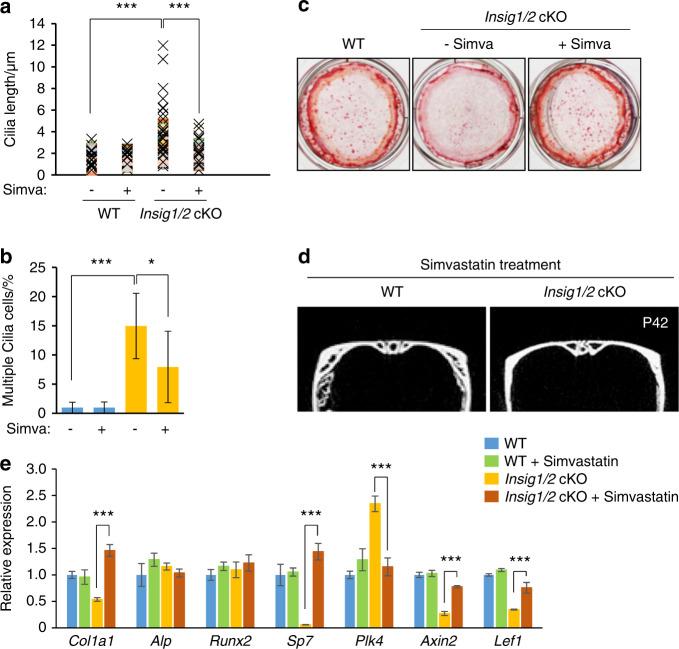 https://cdn.ncbi.nlm.nih.gov/pmc/blobs/62e1/6946666/04571f463e75/41413_2019_78_Fig8_HTML.jpg