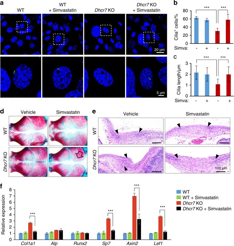 https://cdn.ncbi.nlm.nih.gov/pmc/blobs/62e1/6946666/59bf06ccef72/41413_2019_78_Fig7_HTML.jpg