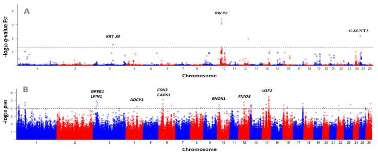 https://cdn.ncbi.nlm.nih.gov/pmc/blobs/62e2/8002741/565974785ac9/genes-12-00433-g003.jpg