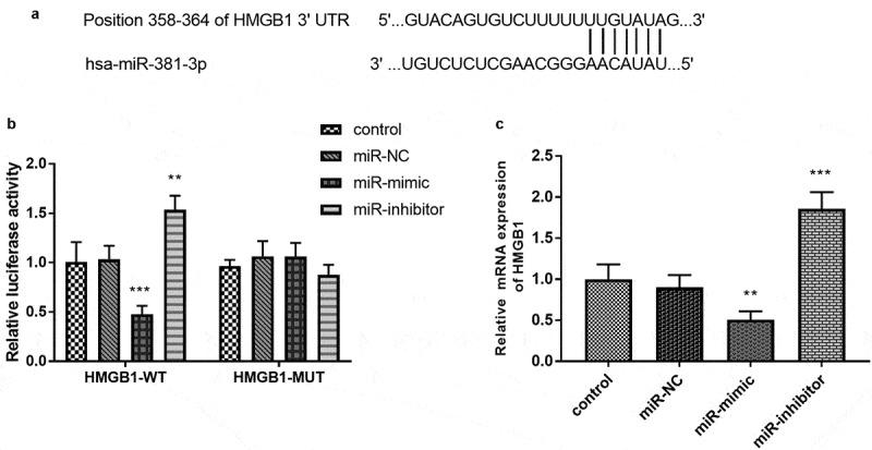 https://cdn.ncbi.nlm.nih.gov/pmc/blobs/62e2/8810158/9004a21d8fe2/KBIE_A_2006967_F0005_B.jpg