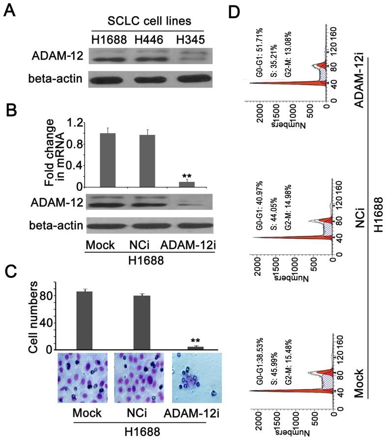 https://cdn.ncbi.nlm.nih.gov/pmc/blobs/62e7/3897605/5651ea16c3fc/pone.0085936.g004.jpg
