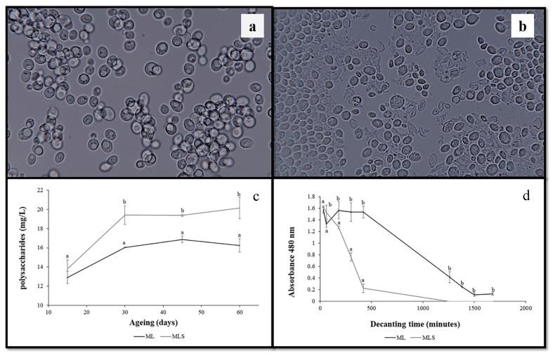 https://cdn.ncbi.nlm.nih.gov/pmc/blobs/62e7/6385107/18d377c0e61e/molecules-24-00635-g001.jpg