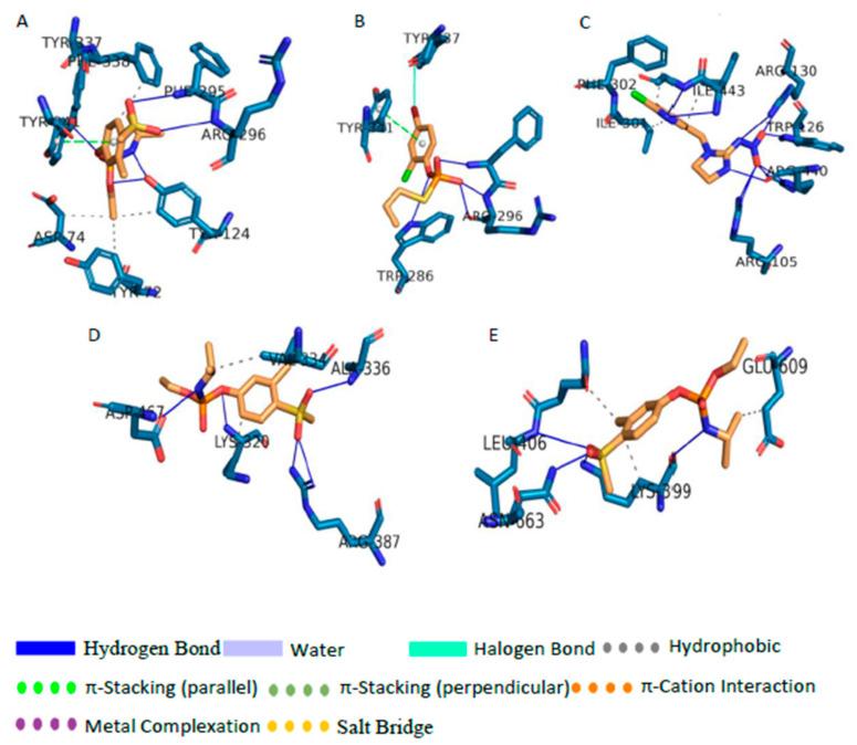 https://cdn.ncbi.nlm.nih.gov/pmc/blobs/62e8/7916818/0640b5ba9ba9/biomolecules-11-00261-g002.jpg