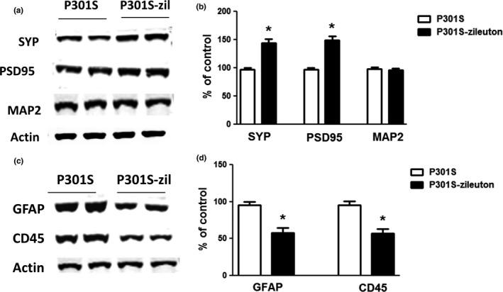 https://cdn.ncbi.nlm.nih.gov/pmc/blobs/62eb/5946065/12bf2714a1c7/ACEL-17-e12759-g004.jpg