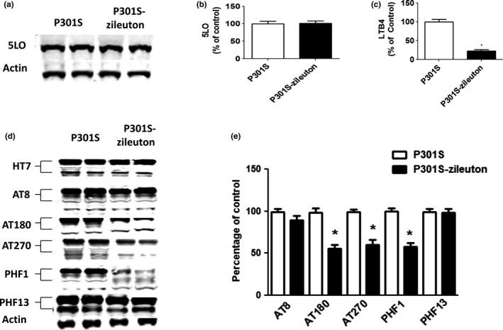 https://cdn.ncbi.nlm.nih.gov/pmc/blobs/62eb/5946065/96c11691c5be/ACEL-17-e12759-g002.jpg