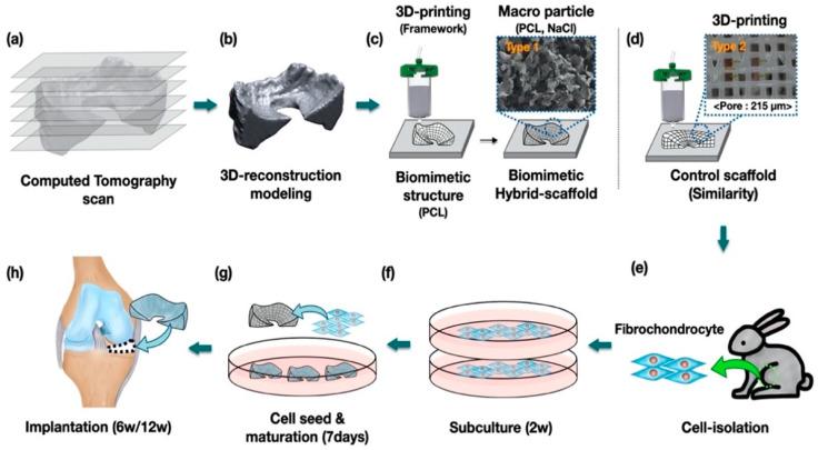 https://cdn.ncbi.nlm.nih.gov/pmc/blobs/62eb/8229034/d3f91b6600b2/polymers-13-01910-g001.jpg