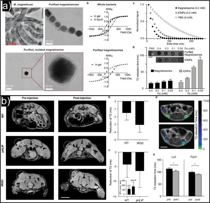 https://cdn.ncbi.nlm.nih.gov/pmc/blobs/62ec/11504500/61b1408b794c/im3c00021_0008.jpg