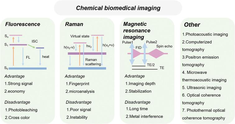 https://cdn.ncbi.nlm.nih.gov/pmc/blobs/62ec/11504500/8caec99cbe2e/im3c00021_0005.jpg