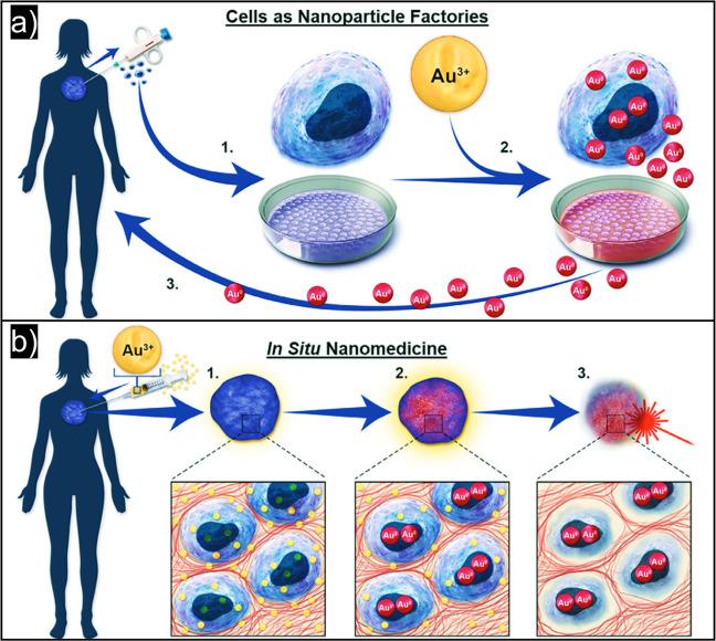 https://cdn.ncbi.nlm.nih.gov/pmc/blobs/62ec/11504500/cafd73e76ceb/im3c00021_0010.jpg