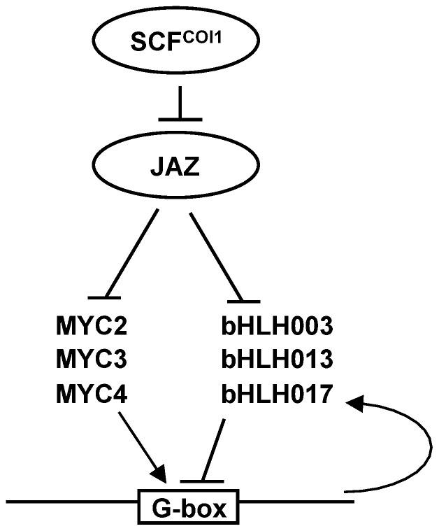 https://cdn.ncbi.nlm.nih.gov/pmc/blobs/62ef/3900477/5c06ccb42794/pone.0086182.g009.jpg