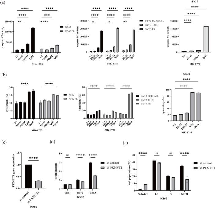 https://cdn.ncbi.nlm.nih.gov/pmc/blobs/62f0/12394061/0b89b7d38967/CAI2-4-e70024-g006.jpg