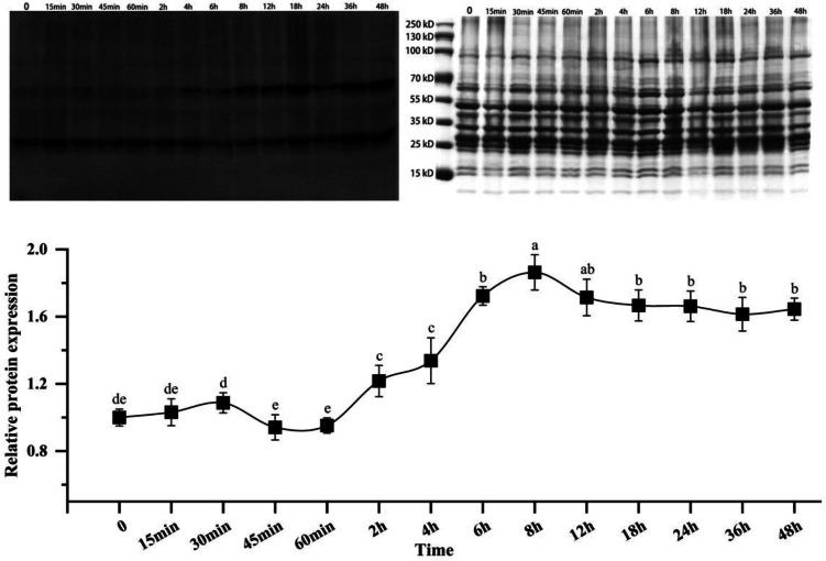 https://cdn.ncbi.nlm.nih.gov/pmc/blobs/62f2/11490697/4eac718fa91e/gr3.jpg