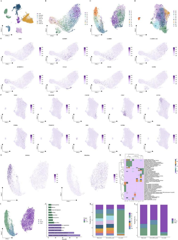 https://cdn.ncbi.nlm.nih.gov/pmc/blobs/62f3/12405446/1f7d5184c823/41746_2025_1967_Fig2_HTML.jpg