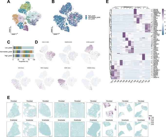 https://cdn.ncbi.nlm.nih.gov/pmc/blobs/62f3/12405446/4dfdcd815912/41746_2025_1967_Fig8_HTML.jpg