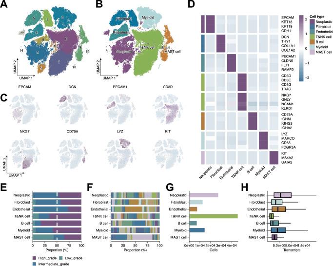 https://cdn.ncbi.nlm.nih.gov/pmc/blobs/62f3/12405446/61e3b84b8ebb/41746_2025_1967_Fig1_HTML.jpg