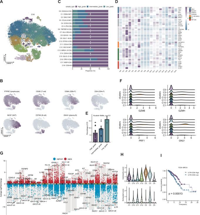 https://cdn.ncbi.nlm.nih.gov/pmc/blobs/62f3/12405446/d006df1bd985/41746_2025_1967_Fig6_HTML.jpg