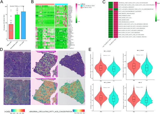 https://cdn.ncbi.nlm.nih.gov/pmc/blobs/62f3/12405446/d5d19cc69c7e/41746_2025_1967_Fig5_HTML.jpg