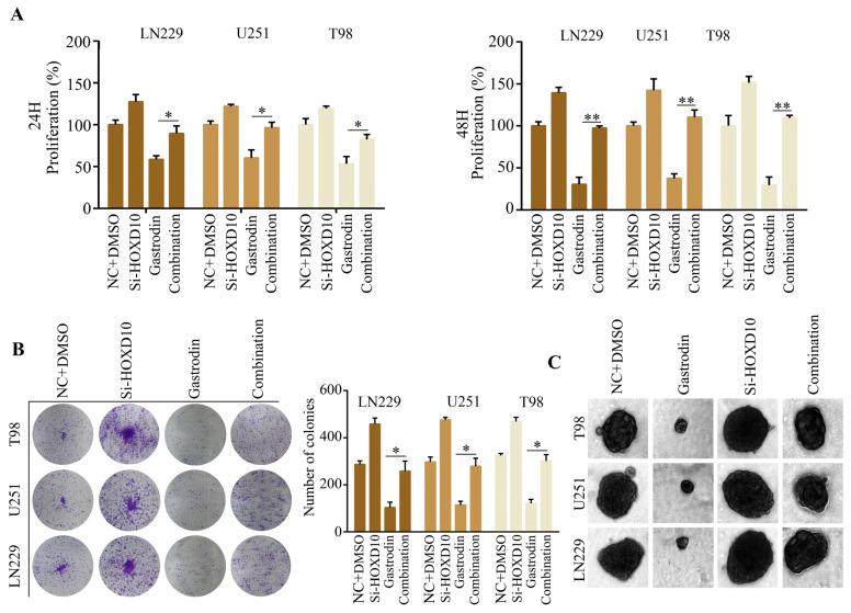 https://cdn.ncbi.nlm.nih.gov/pmc/blobs/62f5/10745471/be77469fdfb8/molecules-28-08062-g006.jpg