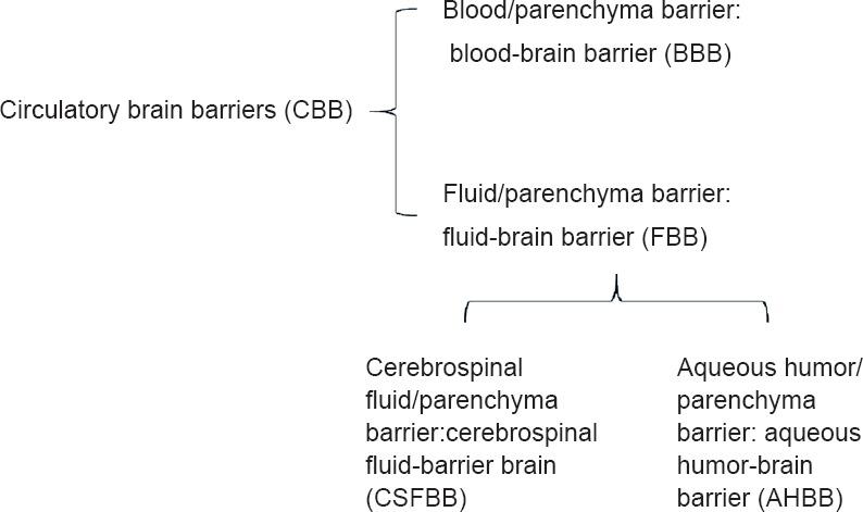 https://cdn.ncbi.nlm.nih.gov/pmc/blobs/62f5/6404483/529c7267a996/NRR-14-962-g003.jpg