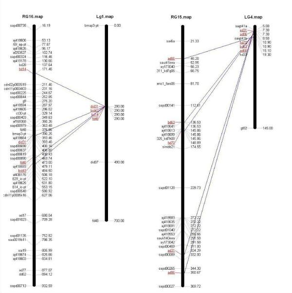 https://cdn.ncbi.nlm.nih.gov/pmc/blobs/62f6/1805437/e9b64f90b37d/1471-2164-8-44-4.jpg