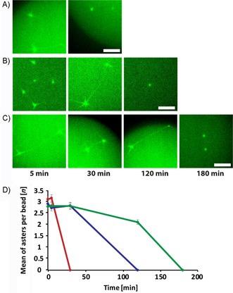 https://cdn.ncbi.nlm.nih.gov/pmc/blobs/62f6/6899551/ea89ffe1d60b/CBIC-20-2633-g005.jpg