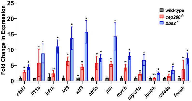 https://cdn.ncbi.nlm.nih.gov/pmc/blobs/62f7/10244513/5f1eafd3a259/fnmol-16-1148840-g005.jpg