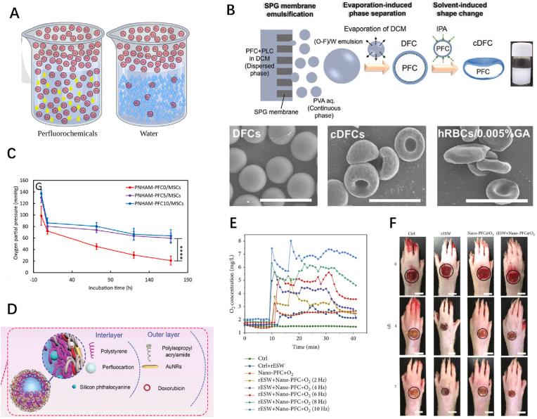https://cdn.ncbi.nlm.nih.gov/pmc/blobs/62f7/10276161/643d46252231/gr3.jpg