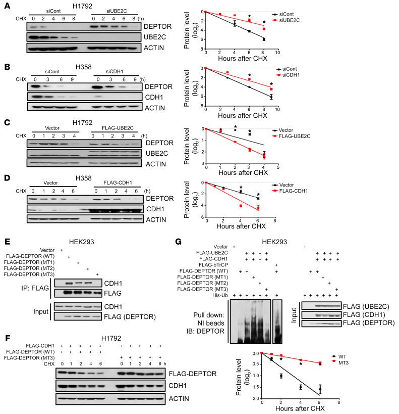 https://cdn.ncbi.nlm.nih.gov/pmc/blobs/62f7/9927933/7e45df88fdde/jci-133-162434-g094.jpg
