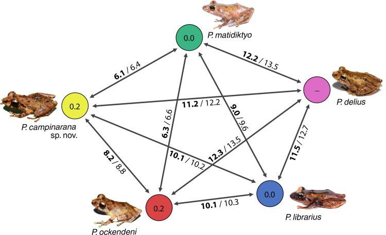 https://cdn.ncbi.nlm.nih.gov/pmc/blobs/62f8/10252896/402d67c508f9/peerj-11-15399-g002.jpg