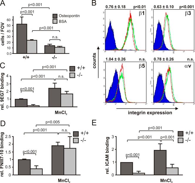 https://cdn.ncbi.nlm.nih.gov/pmc/blobs/62fa/3051823/bad9f9e3aa9e/JCB_201007141_RGB_Fig3.jpg