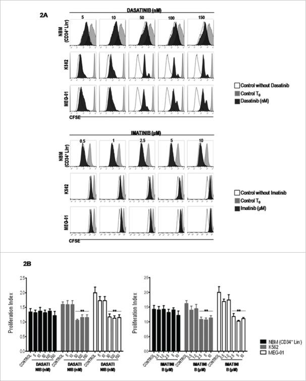 https://cdn.ncbi.nlm.nih.gov/pmc/blobs/62ff/4889309/83bd10c70ec8/kccy-15-09-1160976-g002.jpg