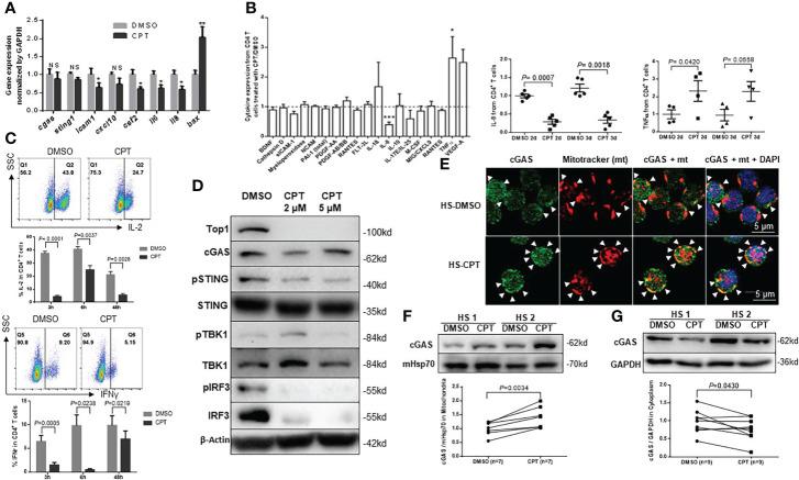 https://cdn.ncbi.nlm.nih.gov/pmc/blobs/6300/9669385/3f5ffc717f4d/fcimb-12-1026293-g004.jpg