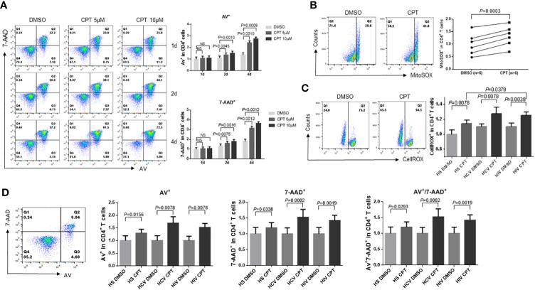 https://cdn.ncbi.nlm.nih.gov/pmc/blobs/6300/9669385/b7305198bfe6/fcimb-12-1026293-g005.jpg