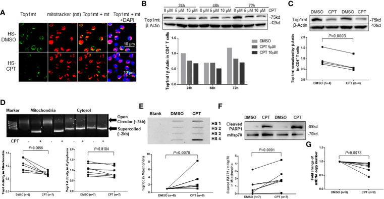 https://cdn.ncbi.nlm.nih.gov/pmc/blobs/6300/9669385/f5b509215801/fcimb-12-1026293-g002.jpg