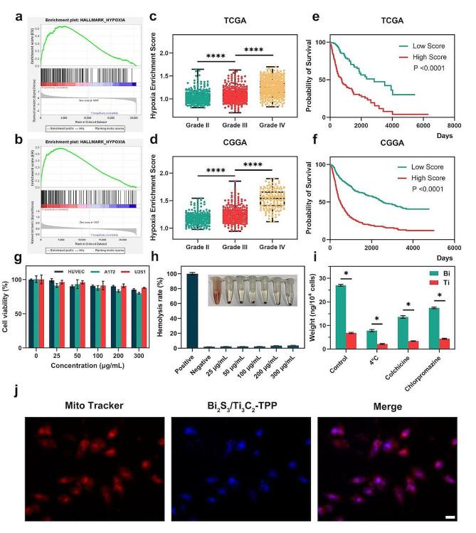 https://cdn.ncbi.nlm.nih.gov/pmc/blobs/6301/10953153/74b502bbd6a1/12951_2024_2391_Fig3_HTML.jpg