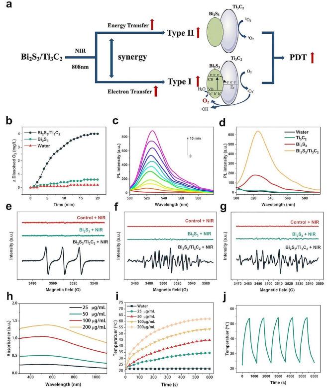 https://cdn.ncbi.nlm.nih.gov/pmc/blobs/6301/10953153/ca2028ee4cb0/12951_2024_2391_Fig2_HTML.jpg