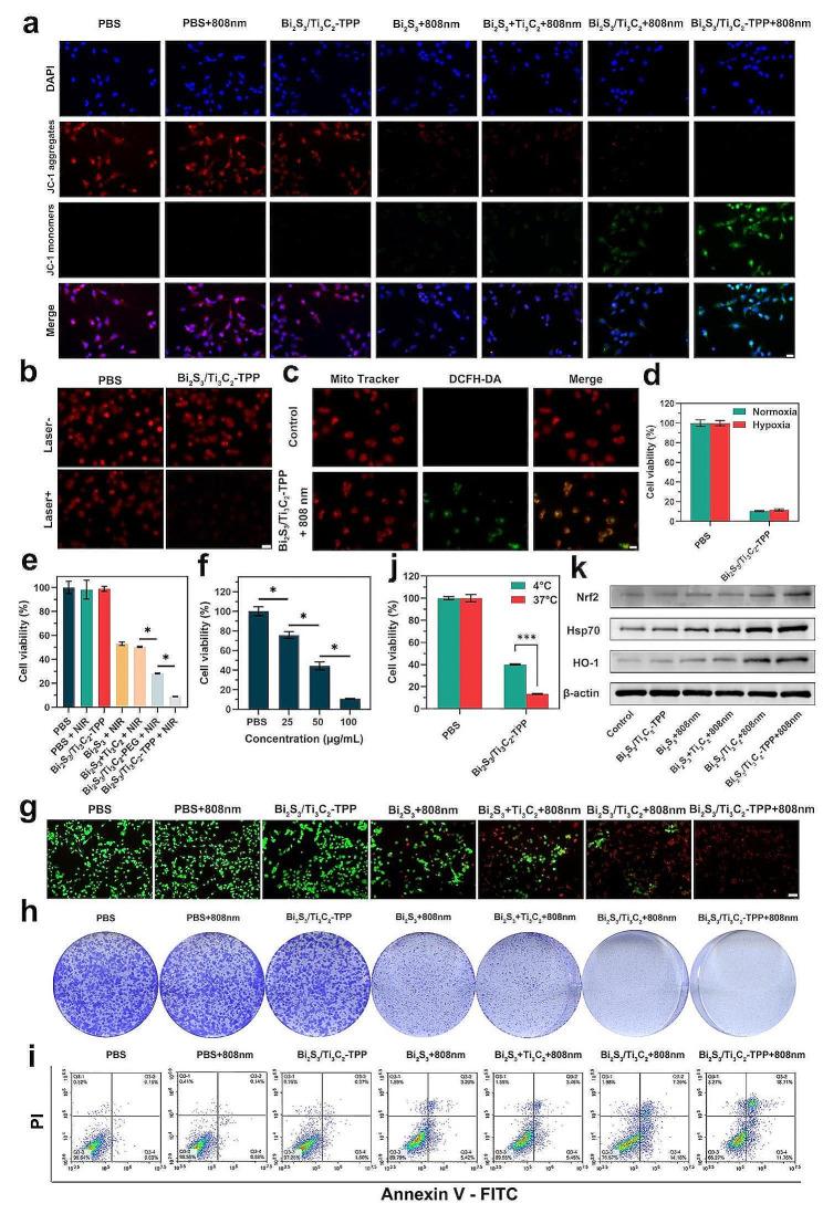 https://cdn.ncbi.nlm.nih.gov/pmc/blobs/6301/10953153/d769aa4b7ac3/12951_2024_2391_Fig4_HTML.jpg