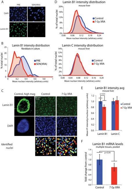 https://cdn.ncbi.nlm.nih.gov/pmc/blobs/6301/3364172/c59b845f1fa6/2066fig4.jpg
